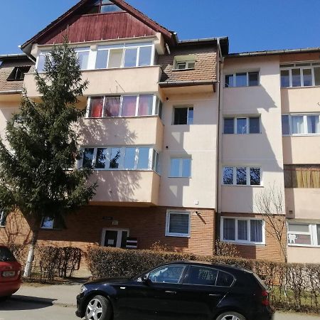 Studio Acasa Sibiu Esterno foto