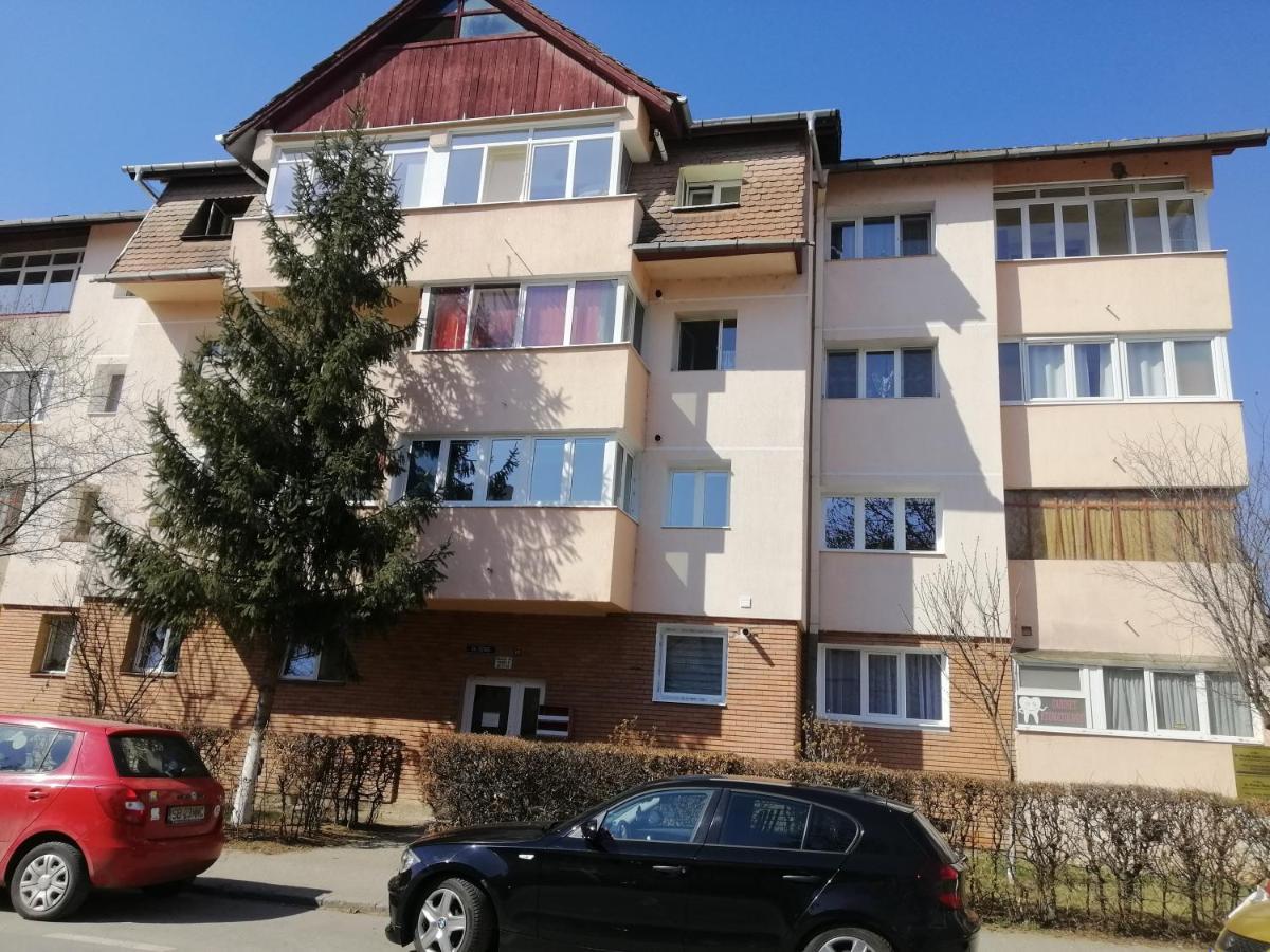 Studio Acasa Sibiu Esterno foto